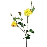 ローズスプレーX5(L) FXFR0010YEL