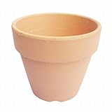 2.5号 小さな素焼き鉢 10個 穴あり 植木鉢 陶器 国産 s2.5-10