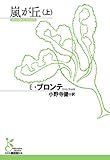 嵐が丘〈上〉