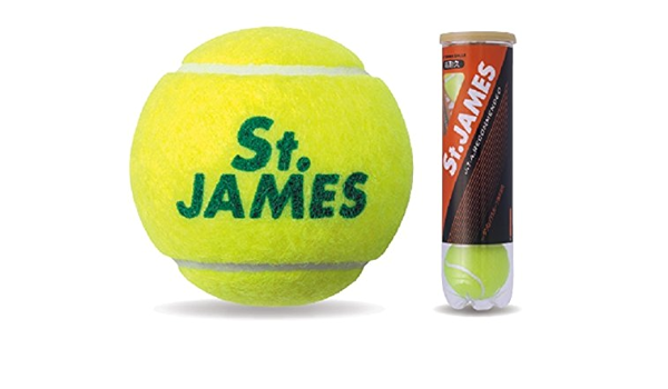 Amazon Dunlop ダンロップ 硬式 テニス ボール セント ジェームス プレッシャーライズド ボール 4個入りボトル Stjamesi ダンロップ Dunlop Tennis プレッシャーライズド ボール