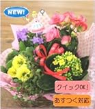 父の日ギフト☆バスケットにお花やグリーンを詰め込んだ可愛い寄せ鉢セット!スタッフにお花はおまかせください♪