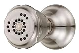 Danze D460165BN Two Function Wall Mount Body Spray, Brushed Nickel [並行輸入品]