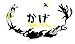 かげ (講談社の翻訳絵本) かげ (講談社の翻訳絵本)