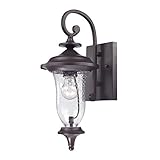 Elk Lighting 8001EW/75 Trinity Coach Lantern Small Oil Rubbed Bronze Finish [並行輸入品]