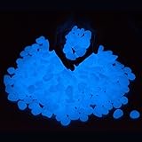 Cshidworld 蓄光石 飾り石 夜光石 水槽飾り 石光る石 蓄光砕石 1袋約100個 (ブルー)