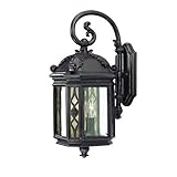 Alico Lighting 302MM Acclaim Lighting Marbleized Mahogany Finished Outdoor Sconce with Clear Beveled