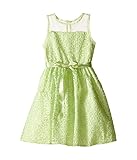 [ユーエス エンジェルス] Us Angels Embroidered Daisy Organza Mesh Dress (Toddler/Little Kids) ドレス Mint 6X (Litt