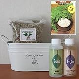 チャービルの栽培セット/豊作セット（液体肥料付き）プランターホワイト仕様