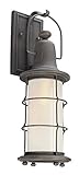 Troy Lighting Maritime 19.5"H 1-Light Outdoor Wall Light - Vintage Bronze Finish with Clear Seedy Ou