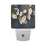 Saobao LED Night Light Energy Savingホワイト桜自動Senor Dusk to Dawn Night Light Great Forベッドルームバスルームリビングルー