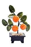 Feng Shui Jade Stone Tangerine Money Tree and good fortuneprosperity [並行輸入品]