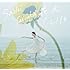 タイナカ彩智「花火 / LIFE」