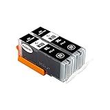 【SEASKY】 XKI-N10XLPGBK ブラック 顔料 2個セット 大容量 キヤノンプリンター用 互換インク ISO9001認証工場 (XKI-N10 XKI-N11 XKI-N10XL XKI-N11XL)
