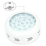 Morsen 300W ミニUFO植物育成LEDライト/新型ダブルチップ、10W*30pcsフルスペクトルLEDチップ，水耕栽培ライト/屋内庭園、室内栽培、野菜工場、植物農園システムキット