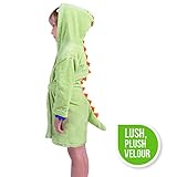 Izzy & Roo SLEEPWEAR ベビー・ボーイズ US サイズ: 4-6 Years カラー: グリーン