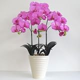 光触媒の胡蝶蘭 鉢植え 造花 Mサイズ-3本立 H65cm(赤/オーキッド色 -白鉢)