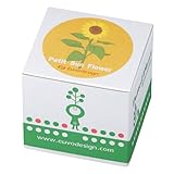Euvo Design Potted Plant ミニヒマワリ PP10549