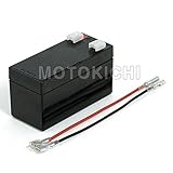 タケガワ TAKEGAWA 05-11-0021 小型バッテリー（MF12V 1.3Ah）