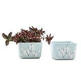 T4U 9CM 陶器鉢 和風臘梅 スクエア 多肉植物 サボテン鉢 フラワーポット プランター容器 ブルー 2個入り