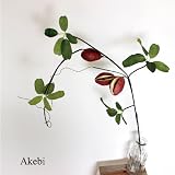 あけび （あけび×3ケ） 造花 インテリア