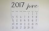 Modern Burlap(モダンバーラップ) おくるみ 1枚 オーガニックコットンモスリンスワドルブランケット JUNE 2017