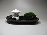 【 翔美苑 】苔盆栽キット　枯山水風　Sサイズ（富士砂）キットで手作り、手軽に苔を楽しめる≪苔盆栽－富士砂≫