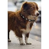 Nicffdi 猫 GPS トラッカー、猫犬用 GPS 首輪、脱走防止、紛失防止 GPS、リアルタイム位置、猫と犬の GPS ロケーター (犬)