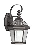 Livex Lighting 2061-07 Outdoor Wall Lantern with Clear Flat Glass Shades, Bronze [並行輸入品]
