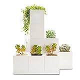LeGrow 屋内 ハーブデスク ガーデン、屋内 プランターキット オフィス＆ホーム 植物愛好家に理想的 デザイン