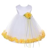 iGirldress DRESS ベビー・ガールズ US サイズ: L/18mos