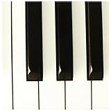 3Dローズ Florene ミュージック ‐ ピアノの鍵盤 ‐ タイル ‐ 約10cm(4インチ) セラミックタイル - ct_29776_1 (並行輸入)