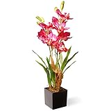 Nationalツリー会社Potted Orchidsシルク花 – ピンク ブラック NF36-5289S