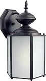 Forte Lighting 10036-01-32 Exterior Wall Light with Frosted Seeded Glass Shades, Antique Bronze by F