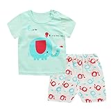 ベビー Tシャツ がルーズ 女の子 半袖 パンツ 上下セット夏 カジュアル お出かけ 出産祝い (淡いブルー, 90)