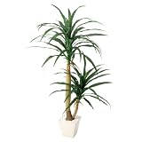 人工樹木 コンシナ （H120cm） 1本〈販促品・装飾品〉