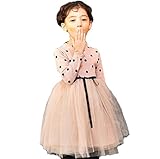Honey baby 子供服 プリンセスドレス ドット柄 リボンワンピース チュールスカート 長袖 パーティー 入学式 卒園式 卒業式 七五三誕生日 結婚式 ガールズ　韓国風 (140cm, ピンク)