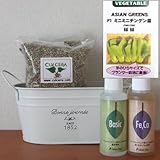 ミニチンゲン菜（妹妹）の栽培セット/豊作セット（液体肥料付き）プランターホワイト仕様