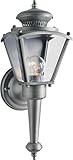 Forte Lighting 1004-01-54 Exterior Wall Light with Clear Beveled Glass Shades, Olde Nickel [並行輸入品]