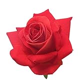 Kesoto 10個　フラワーヘッド　ローズ　バラ　薔薇の花　造花　カラフル　人工ベルベット　装飾　全７タイプ選べる - オレンジレッド