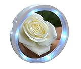 Hongkang Swivel brite LEDライト付きバスルームメイクアップミラー8倍拡大ビューティーミラーサッカーバスルームミラー (ホワイト)