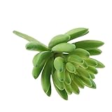 Dovewill 人工花　シミュレーション多肉植物　工芸品　写真小道具　全２色選べる - 緑