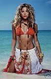 Shakira 12 X 18メタルアルミ壁アート# 01