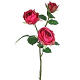 ローズスプレーX3 FXFR0008BTY