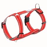 [LaLUCA GOODS] 犬 ハーネス 小型犬 中型犬 大型犬 抜けない 脱げない 抜けにくい エスケープガード 柴犬 おしゃれ かわいい 簡単 安心