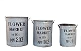 Creative Co-Op DA2847 Metal "Flower Market" Bucket Set [並行輸入品]