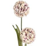 (ヒル・インテリアズ) Hill Interiors アジサイの造花 アーティフィシャルフラワー イミテーションフラワー デコレーション (ワンサイズ) (ペールライラック)