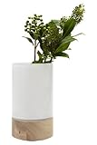 G1038-23-391 LOTTA VASE/LANTERN&BASE W TLA2181