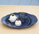 苔盆栽 モスモス  モスドリ白　モスドリ 黒 コトリ 白 炭化焼締器セット