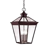 Savoy House 5-145-13 Outdoor Pendant with Clear Shades, English Bronze Finish [並行輸入品]