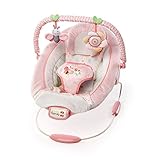 Ingenuity Cradling Bouncer, Felicity Floral